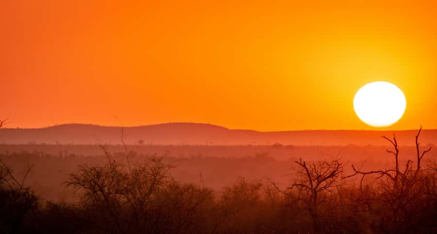 Kruger National Park half day - The service question: confirm before you go