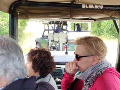 Kruger National Park half day