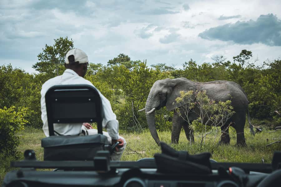 Kruger National Park half day - Breakfast and rest-camp pauses