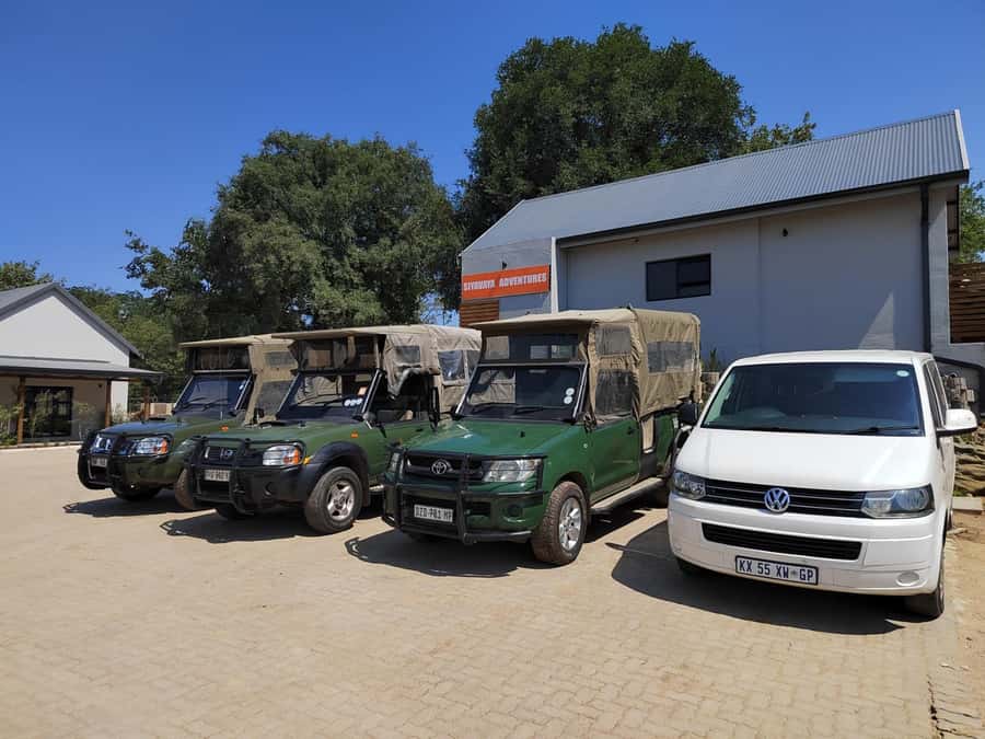 Kruger National Park half day - Searching quieter routes for cheetahs and rhinos