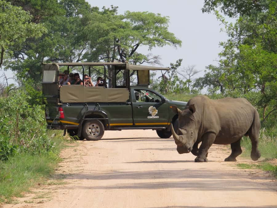 Kruger National Park Morning Safari - Leaving Hazyview for Kruger before the day warms up