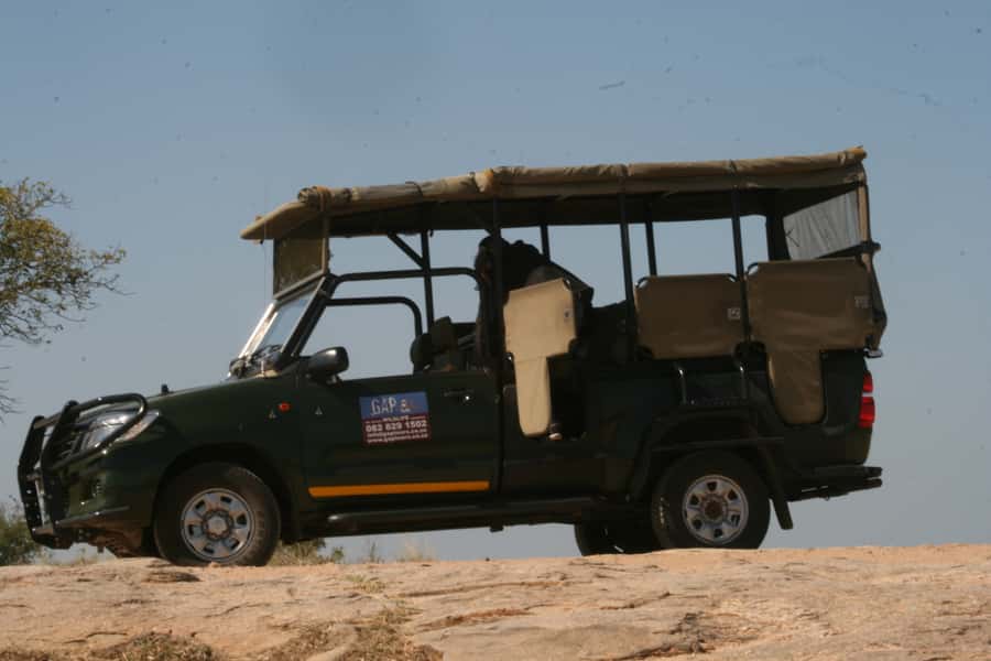Kruger National Park Morning Safari - The park’s birds, trees, and smaller moments