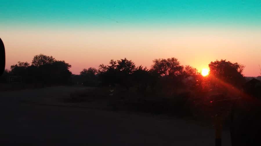 Kruger National Park Morning Safari - Who will get the most from this morning safari