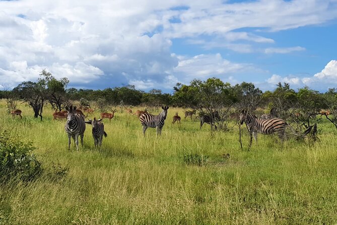 Kruger National Park & Panorama Route From Johannesburg 3 Days & 2 Nights - A practical note about Kruger expectations