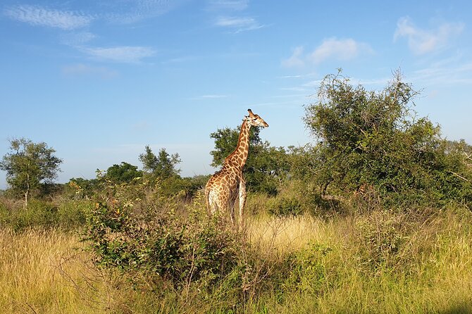 Kruger National Park & Panorama Route From Johannesburg 3 Days & 2 Nights - Lisbon Falls and the waterfall country