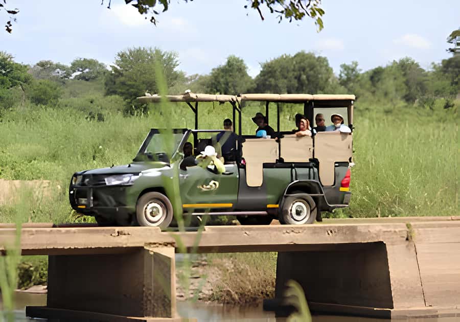 Kruger National Park Safari (Full Day) - The 30-minute pickup from Hazyview