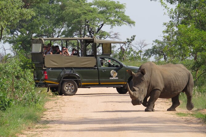 Kruger National Park sunrise Morning Private safari - Key points to know before booking