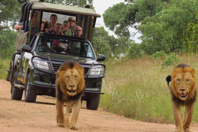Kruger National Park sunrise Morning Private safari - Leaving Hazyview at 5:30 am