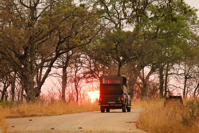 Kruger National Park sunrise Morning Private safari - Searching for the Big Five