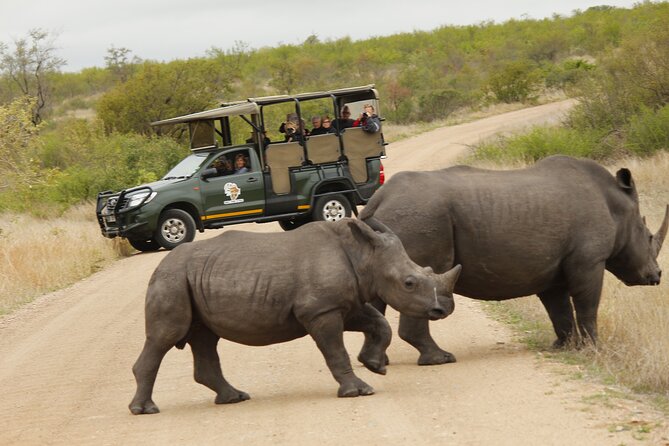 Kruger National Park sunrise Morning Private safari - What to bring and how to prepare