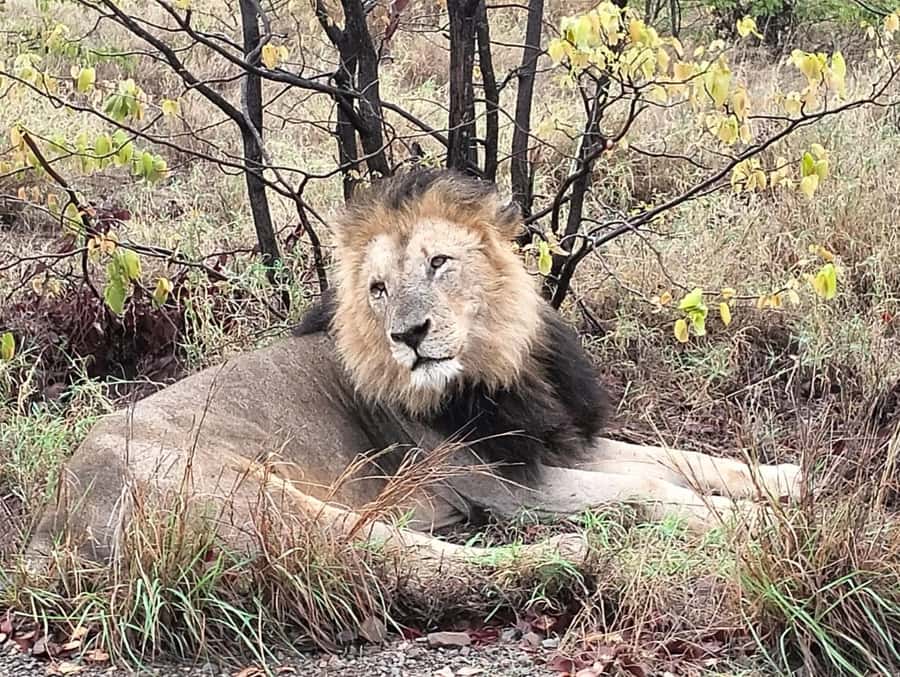 Kruger Park Safari from Maputo - Changing to an open-backed safari vehicle