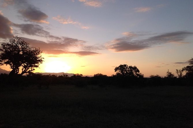 Kruger Park Safari: Guided Day Tour from Nelspruit - Midday food, rest, and the train restaurant tip