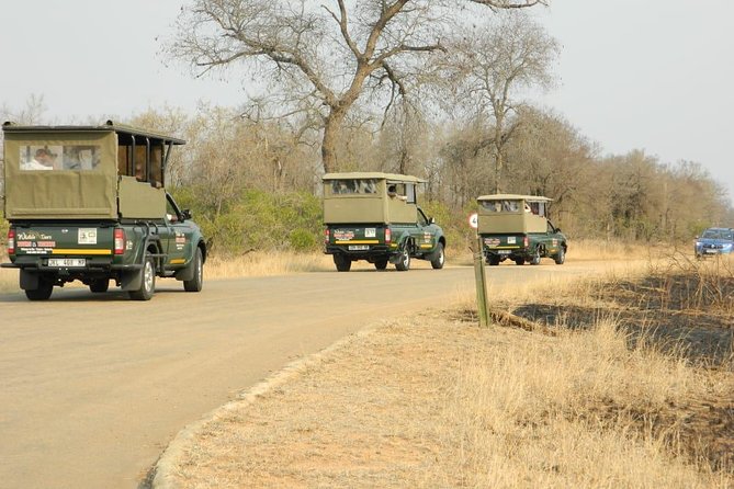 Kruger Park Safari - Half Day Game Drive from Hazyview - What this Hazyview safari actually offers