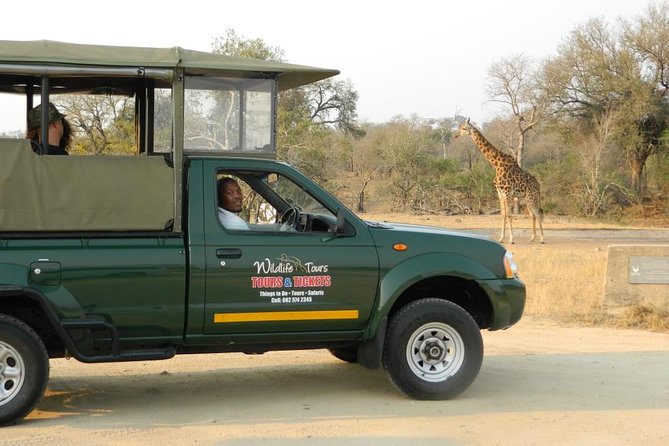 Kruger Park Safari - Half Day Game Drive from Hazyview - Evening light and the chance of nocturnal animals