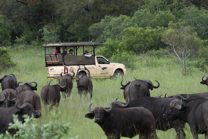 Kruger Park Safari Private Full-Day Tour from Marloth Park - The 5:30 am start and meeting arrangements