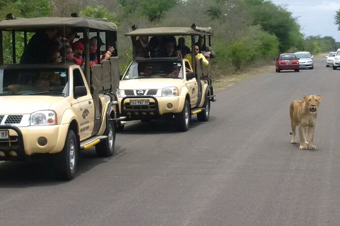 Kruger Park Safari Private Full-Day Tour from Marloth Park - A full day of animals, birds, plants, and trees