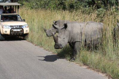 Kruger Park Safari Private Full-Day Tour from Marloth Park
