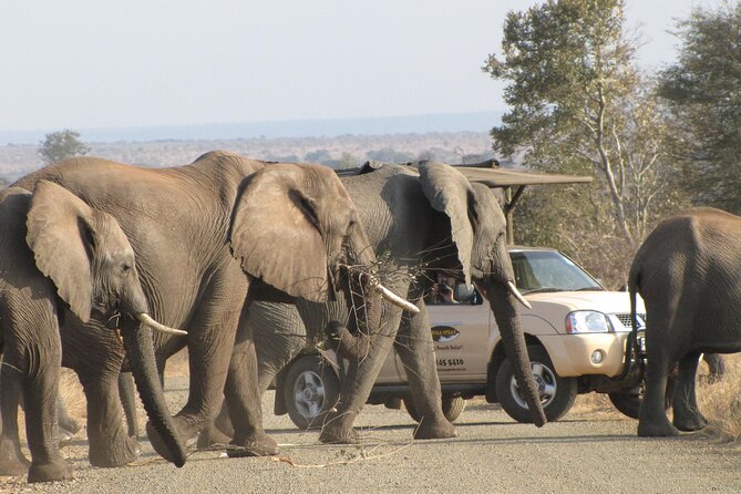 Kruger Park Safari Private Full-Day Tour from Marloth Park - Flexibility when your group has had enough