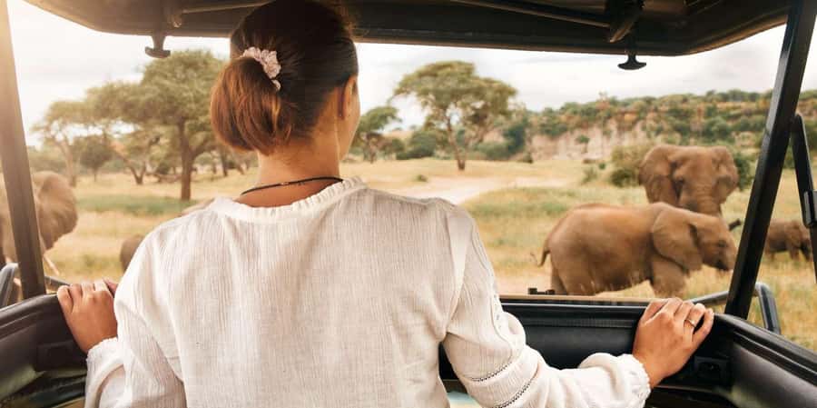 Kruger Park Scheduled Full day Safari Drive from Hoedspruit - Why the pre-dawn departure matters