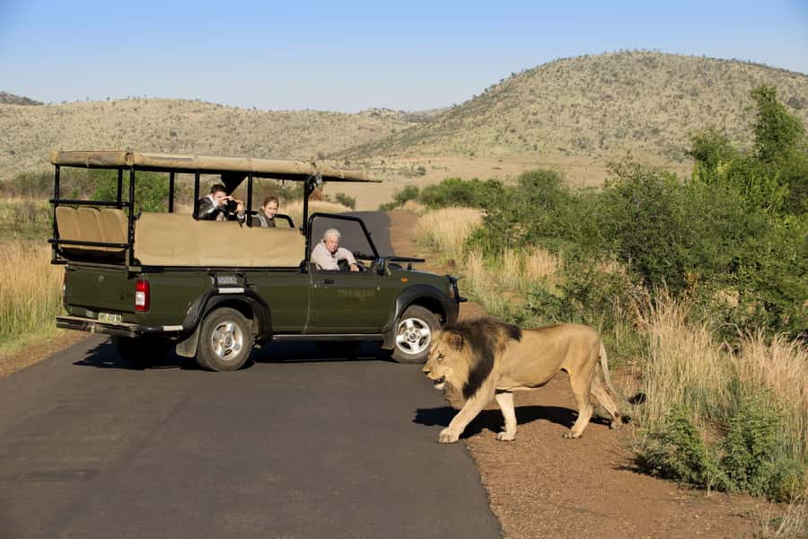 Kruger Park Scheduled Full day Safari Drive from Hoedspruit - Morning drives around savannah and waterholes