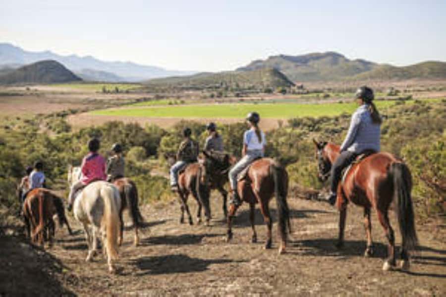 Kudu Trail Horse Riding Experience - Key points to know before you book