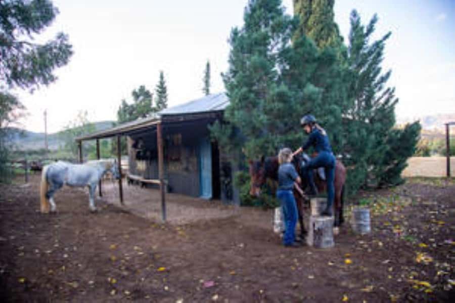 Kudu Trail Horse Riding Experience - Reaching Doornkraal Farm near Oudtshoorn