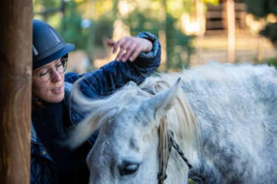 Kudu Trail Horse Riding Experience - Getting matched with a horse and ready to ride