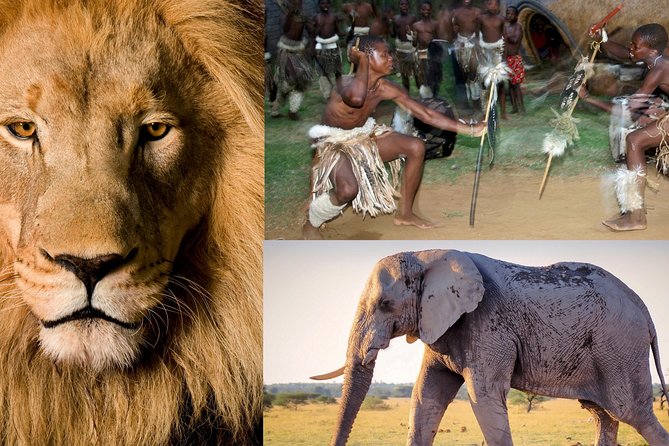 Lesedi Cultural Village and Lion Park tour - Drumming, dancing, and a generous lunch break