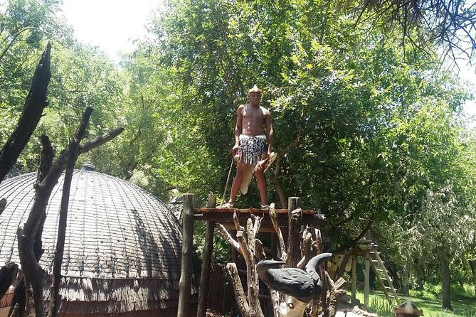 Lesedi Cultural Village and Lion Park tour - What to expect at the Lion and Safari Park