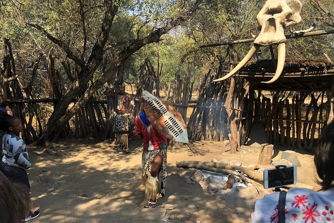 Lesedi Cultural Village Tour with Lunch from Johannesburg - Buffet Lunch With Regional Favorites