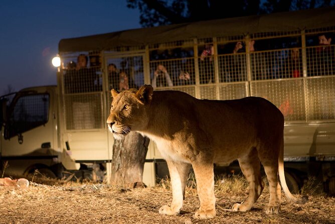 Lion and Safari Park tour.Pick up and drop off Privately - A private Johannesburg outing with a clear purpose