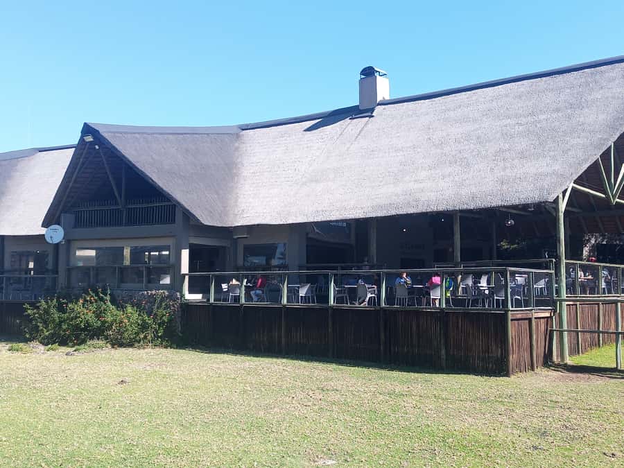 Lion park - Hotel pickup makes the price easier to judge