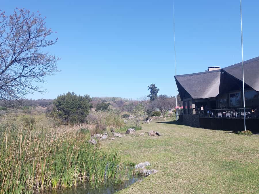 Lion park - Should you book the lion park safari?