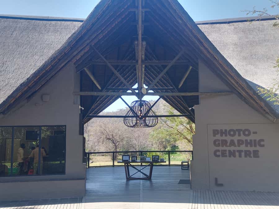 Lion park - What the morning schedule means