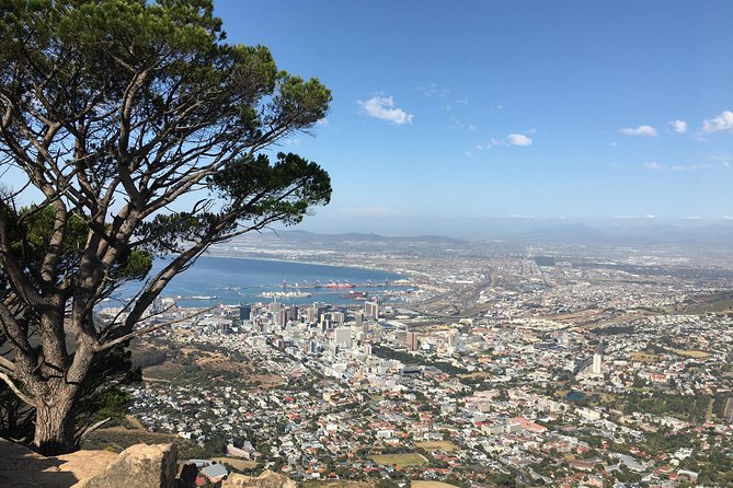 Lion's Head Hike - Private Tour - Why the guide can change the whole day