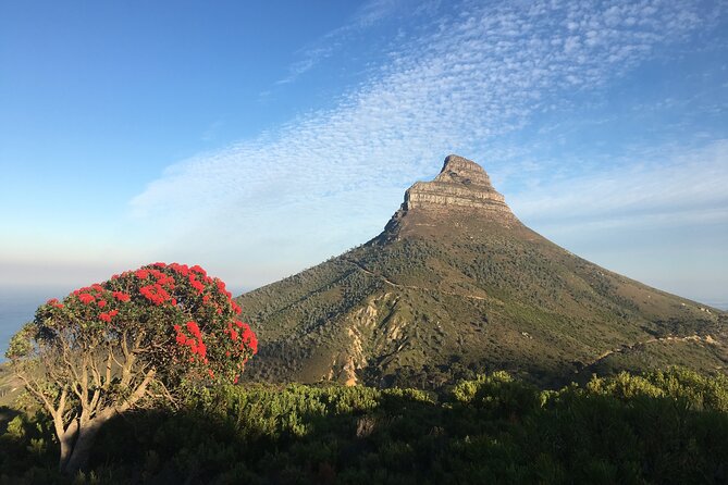 Lion's Head Hike-sunrise/sunset with professional private guide - Key points to know before you book