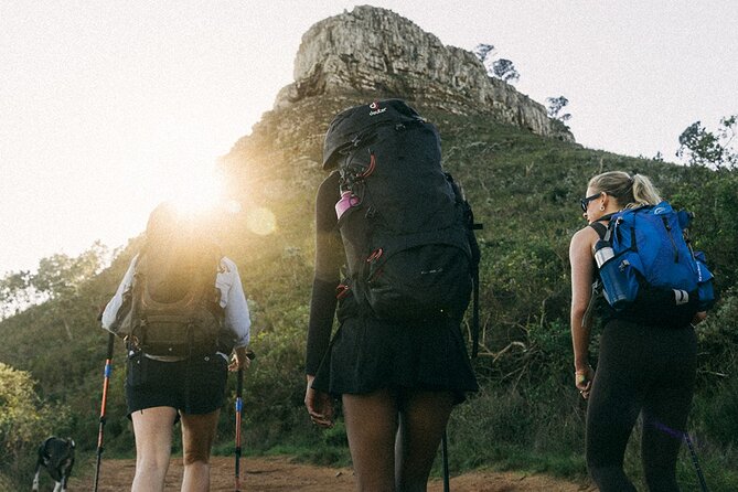 Lion's Head Hike-sunrise/sunset with professional private guide - Starting at Signal Hill Road