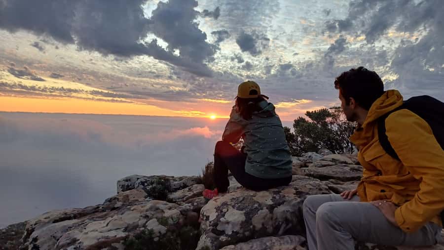 Lion's Head: Hike with a registered hiking guide - A slower descent with plants, wildlife, and city stories