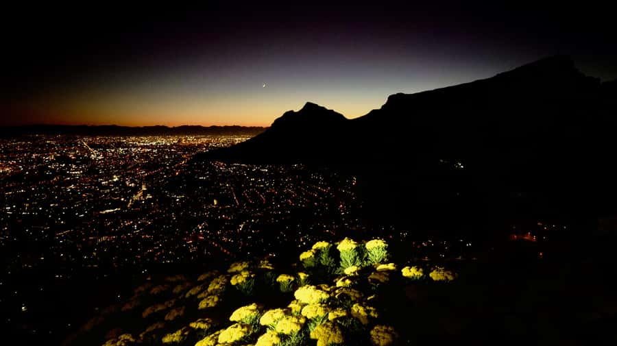 Lion's Head Sunrise or Sunset Hike + Hotel Pick-Up - Snacks, water, and what to pack