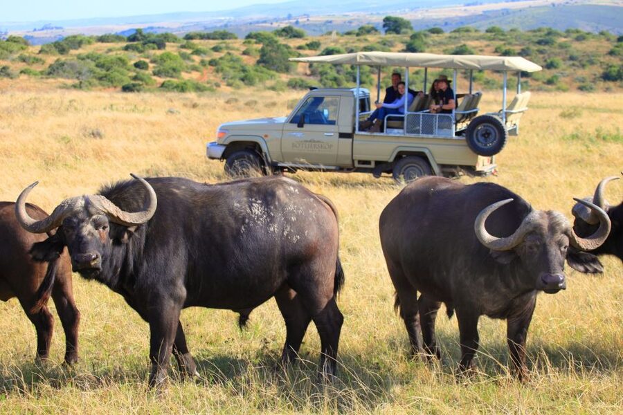Little Brak River: Botlierskop Guided Game Drive - What the three-hour drive feels like