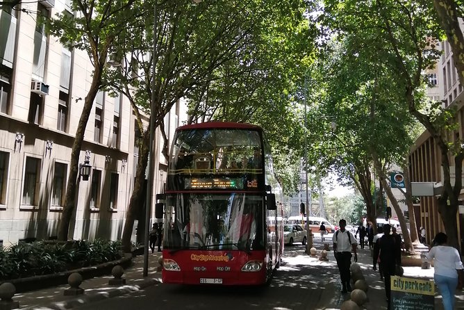 LocalPlaces Understanding Johannesburg Walking Tour - The Shadow Boxer and Johannesburg’s political story