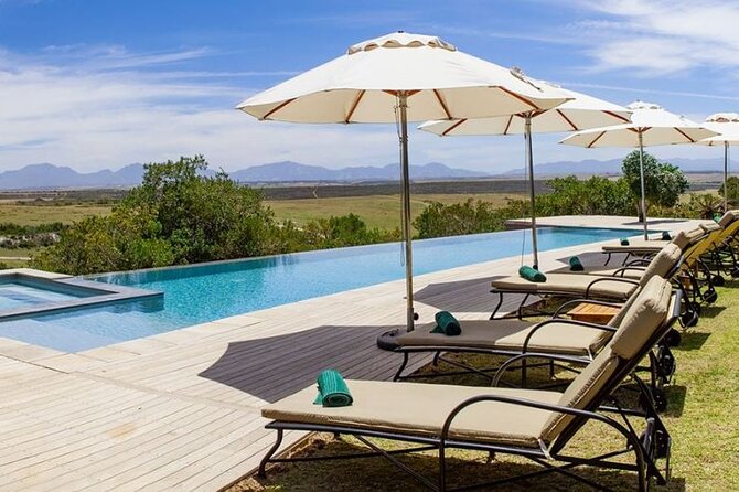 Luxury 2-Day In & Out Garden Route Safari Tour - Day two: sunrise animals and an elephant encounter