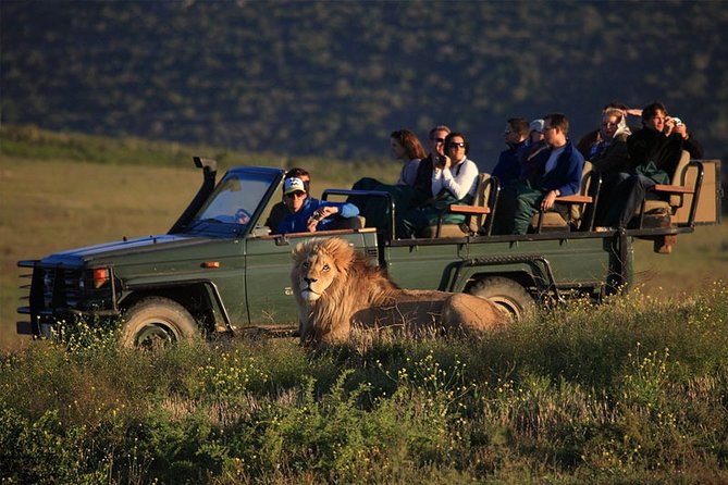 Luxury 2-Day In & Out Garden Route Safari Tour - The guide and driver can shape the day