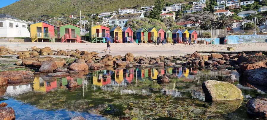Luxury Cape of Good Hope & Penguin Tour - Craft gin tasting at Chapman’s Peak