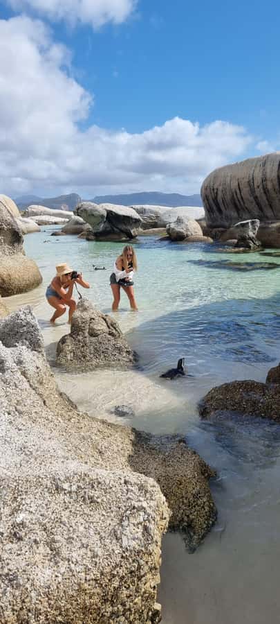 Luxury Cape of Good Hope & Penguin Tour - Why this Cape Peninsula route works so well