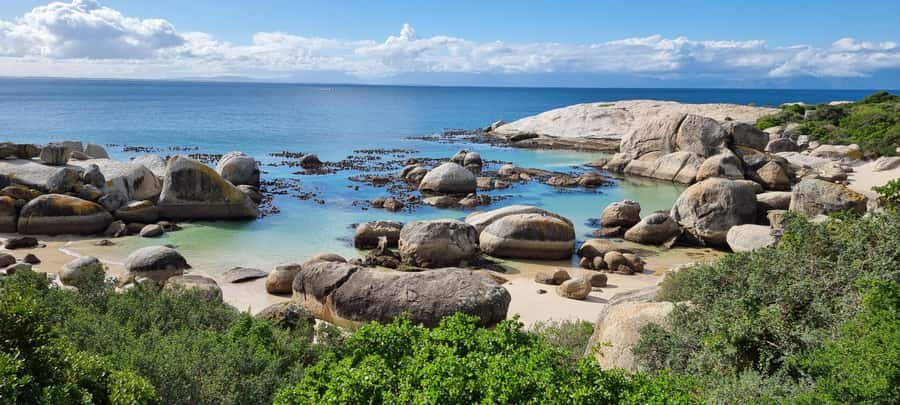 Luxury Cape of Good Hope & Penguin Tour - Cape Point and the Cape of Good Hope