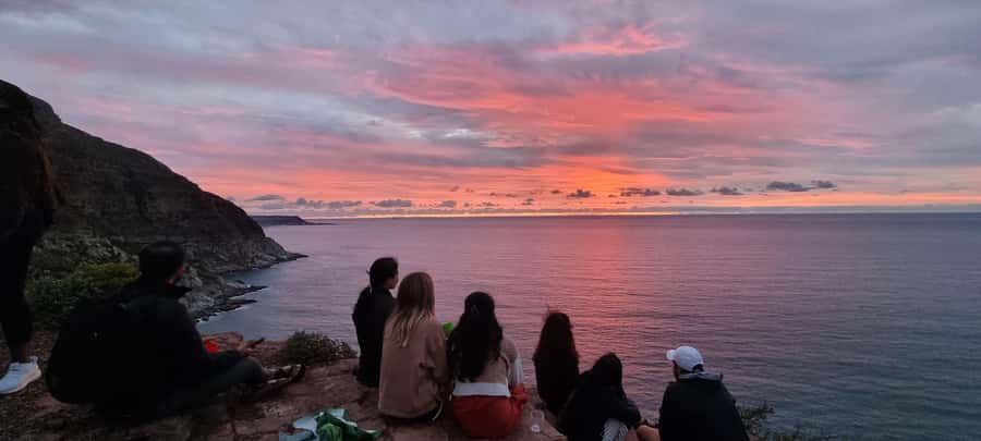 Luxury Cape of Good Hope & Penguin Tour - Boulders Beach and the African penguin colony