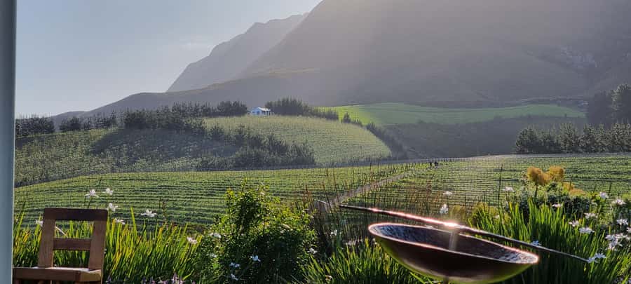 Luxury Wine Tour - A polished day from Cape Town to Stellenbosch