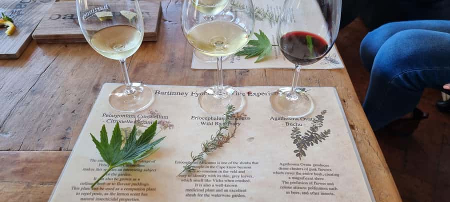 Luxury Wine Tour - Babylonstoren: gardens, produce, and more than wine