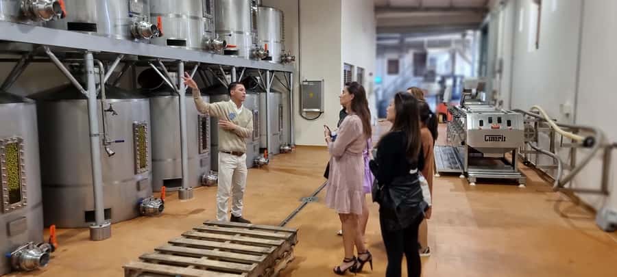 Luxury Wine Tour - Delaire Graff for art, views, and fine dining